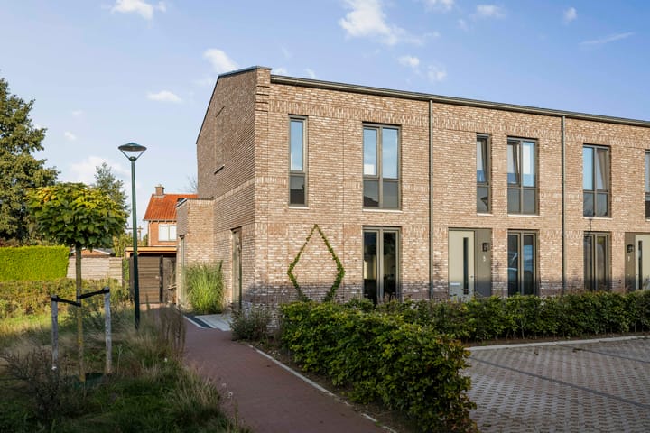 Foto 2 van Frans Halserf 3