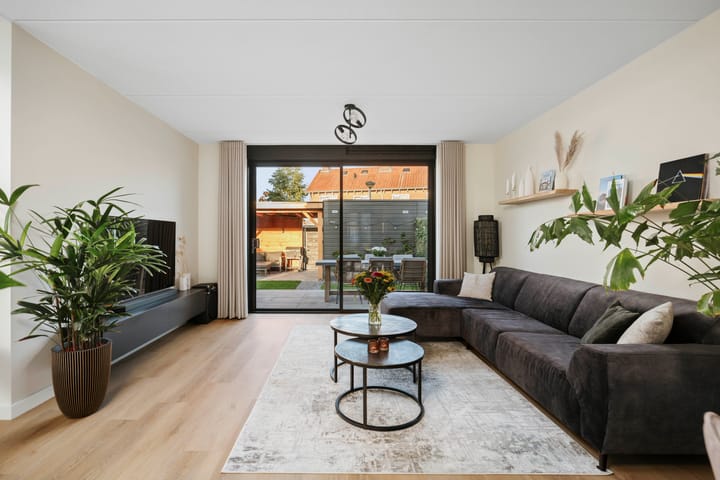 Foto 5 van Frans Halserf 3