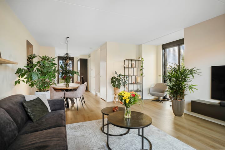 Foto 6 van Frans Halserf 3