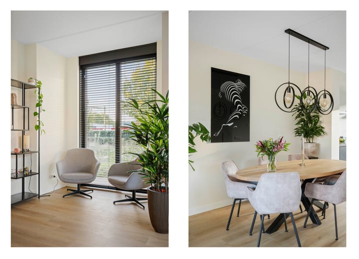 Foto 7 van Frans Halserf 3