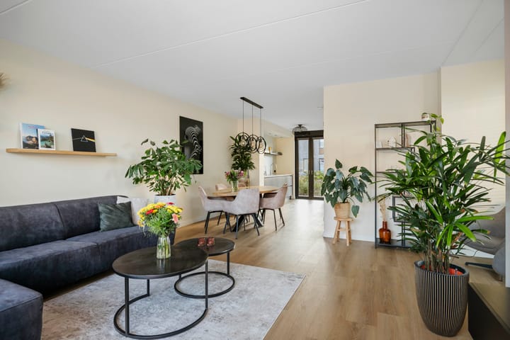 Foto 8 van Frans Halserf 3