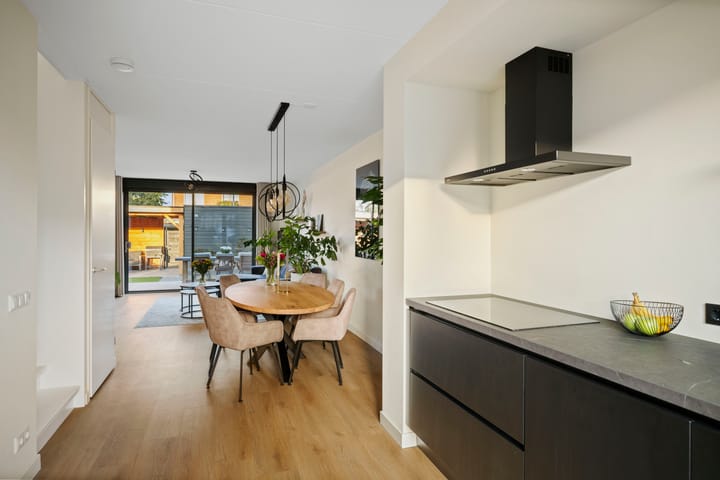 Foto 10 van Frans Halserf 3