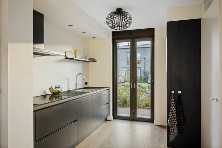 Foto 11 van Frans Halserf 3