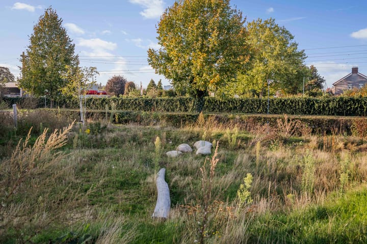 Foto 28 van Frans Halserf 3