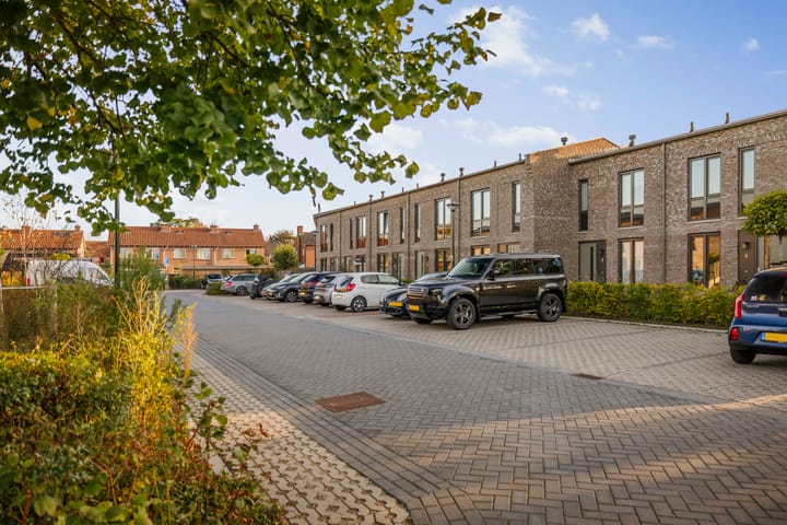 Foto 29 van Frans Halserf 3