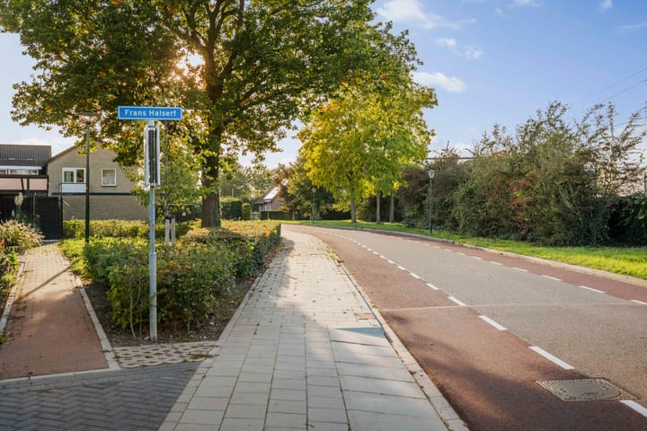 Foto 30 van Frans Halserf 3