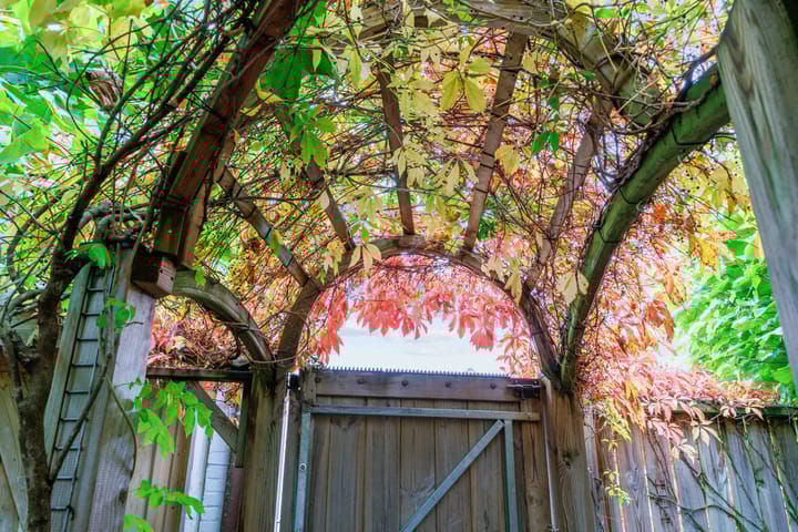 Foto 44 van Uiterburen 16