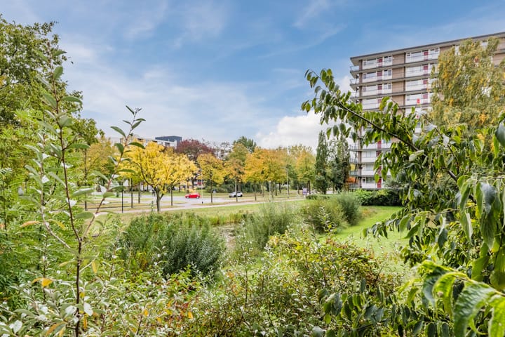 Foto 29 van Antwerpenstraat 150