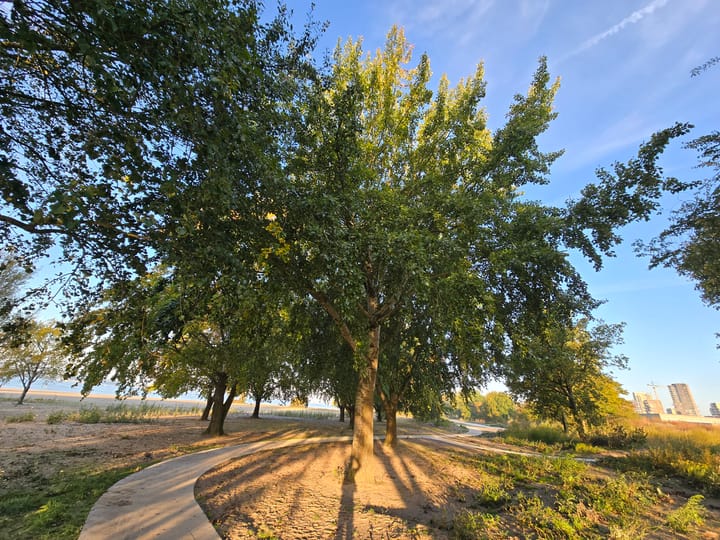 Foto 52 van Mildred Didriksonstraat 28