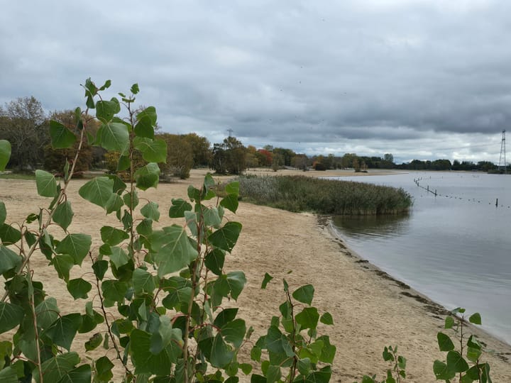 Foto 54 van Mildred Didriksonstraat 28