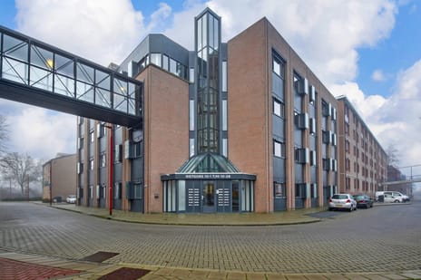 Rietgors te Nieuwegein main image