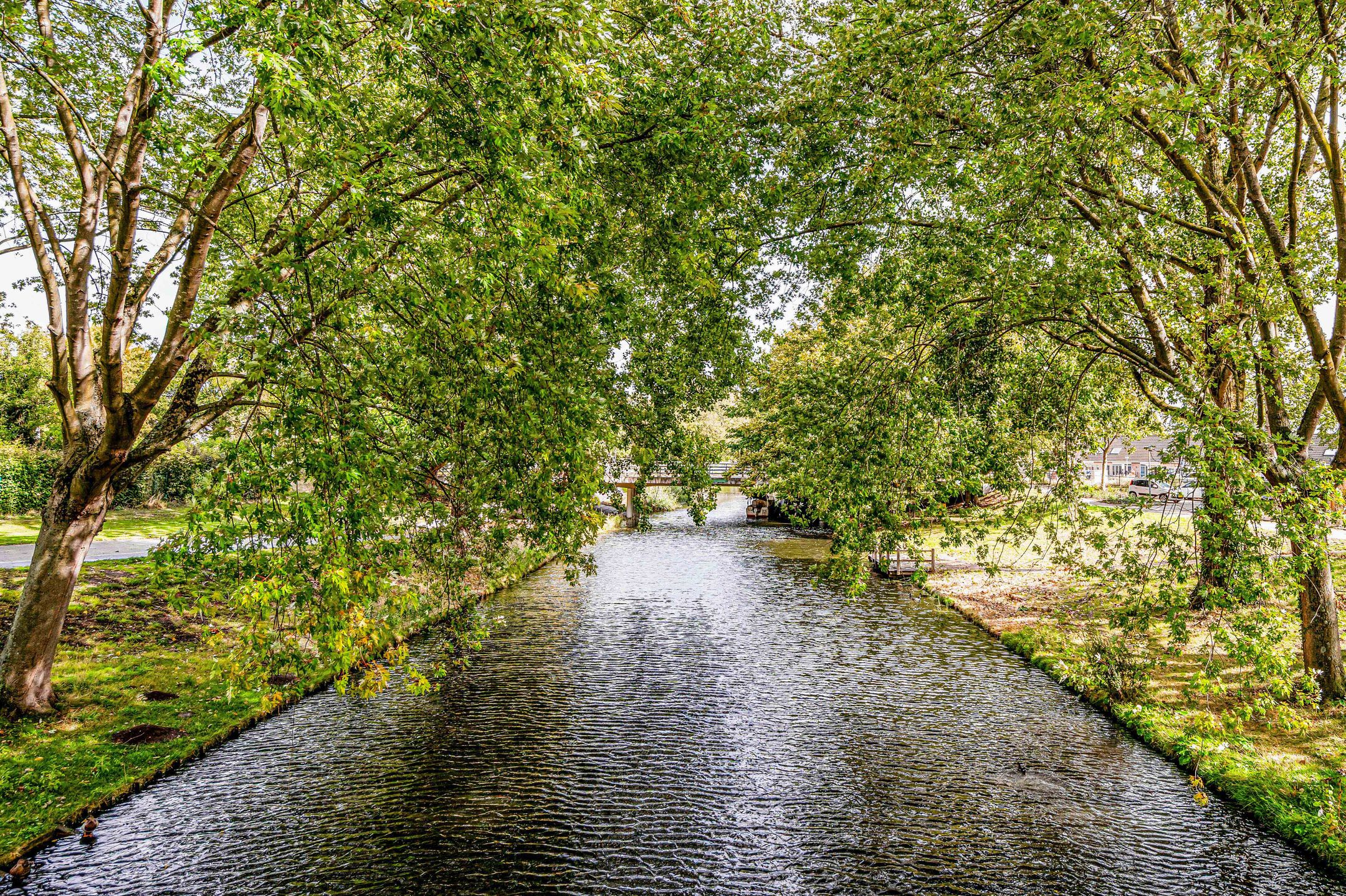 Photo 36 of Rimsky-Korssakovweg 175