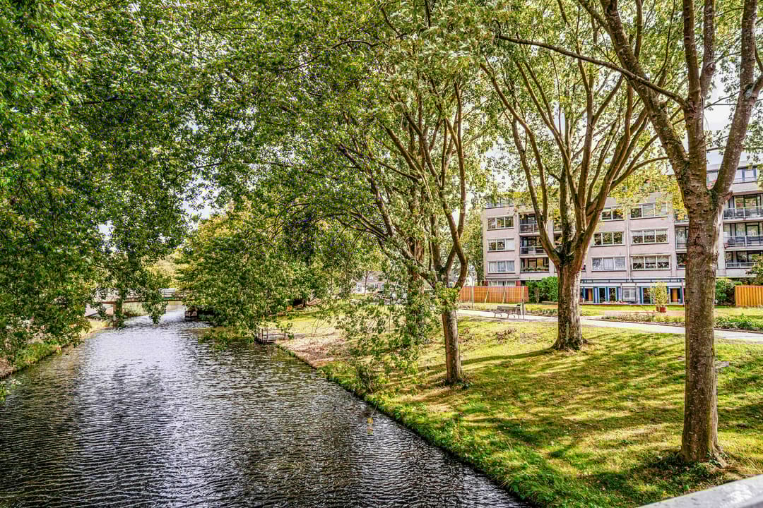 Photo 37 of Rimsky-Korssakovweg 175