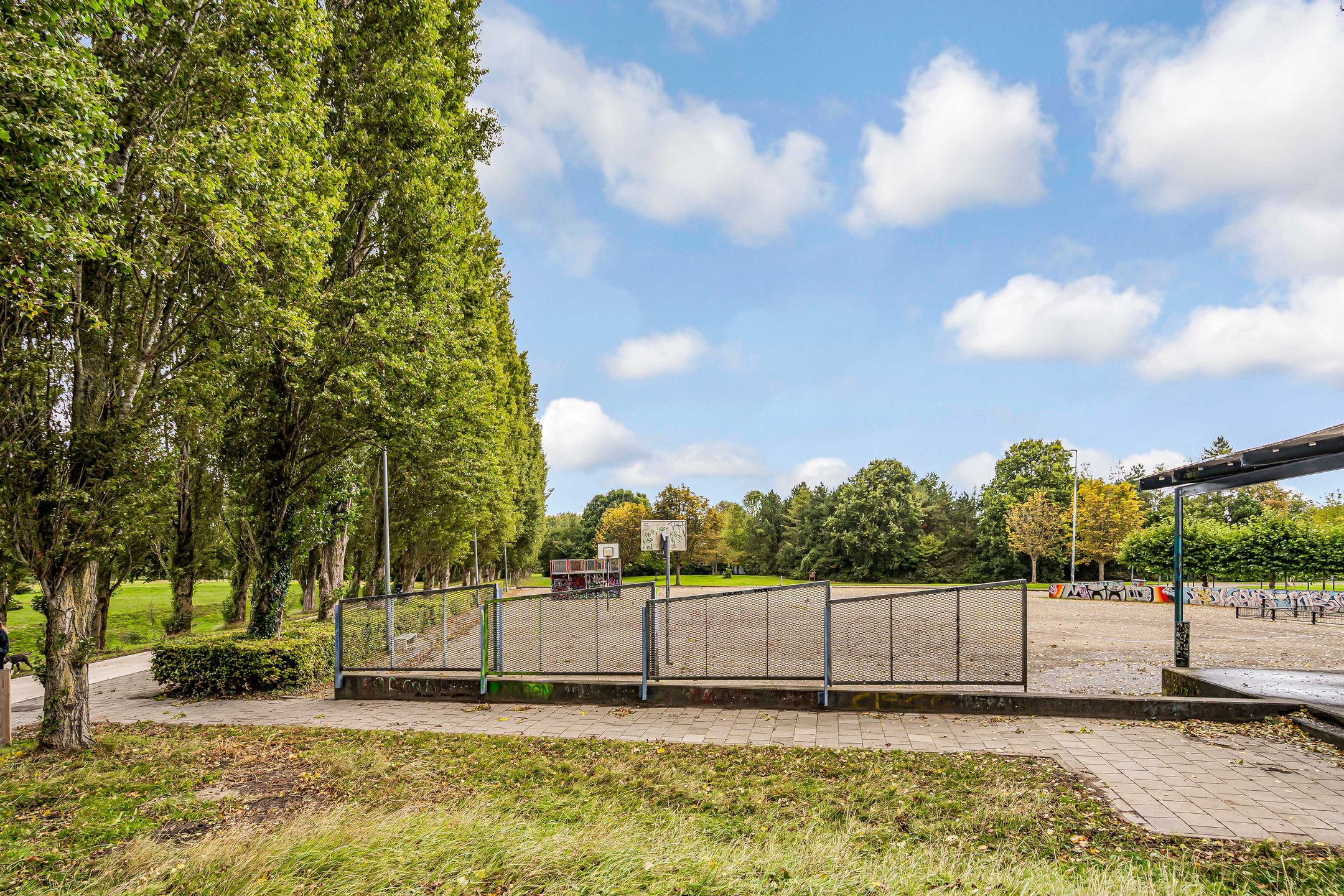 Photo 36 of Jacques Tatilaan 60