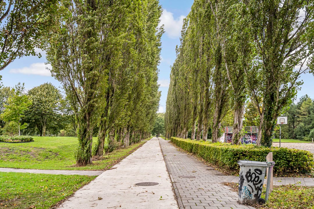 Photo 37 of Jacques Tatilaan 60