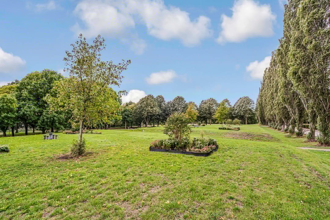 Photo 38 of Jacques Tatilaan 60