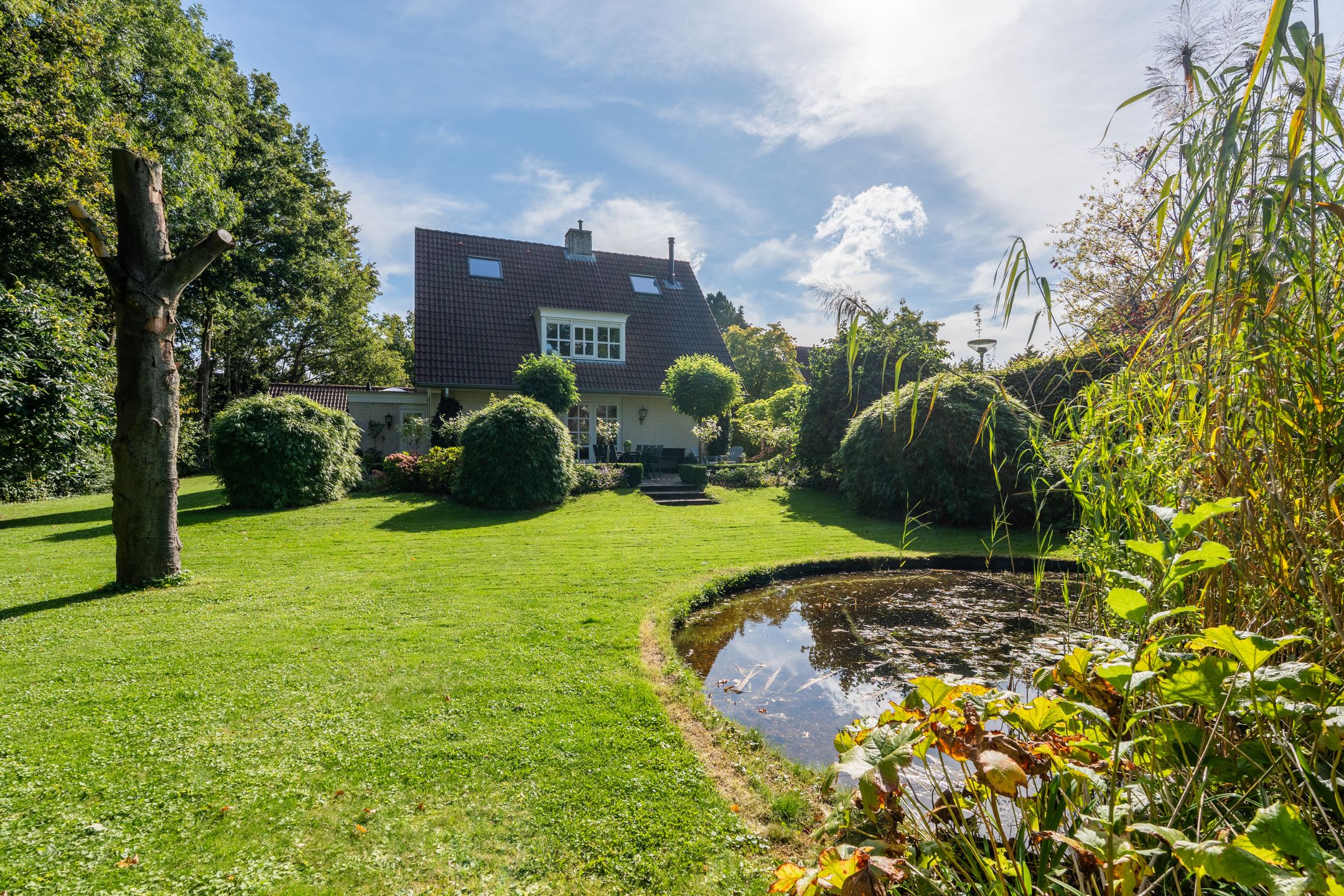 Foto 57 van Spechtlaan 16