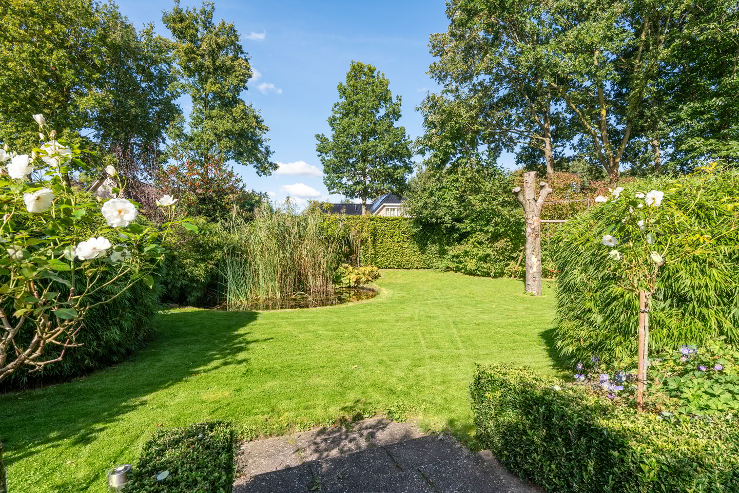 Foto 59 van Spechtlaan 16