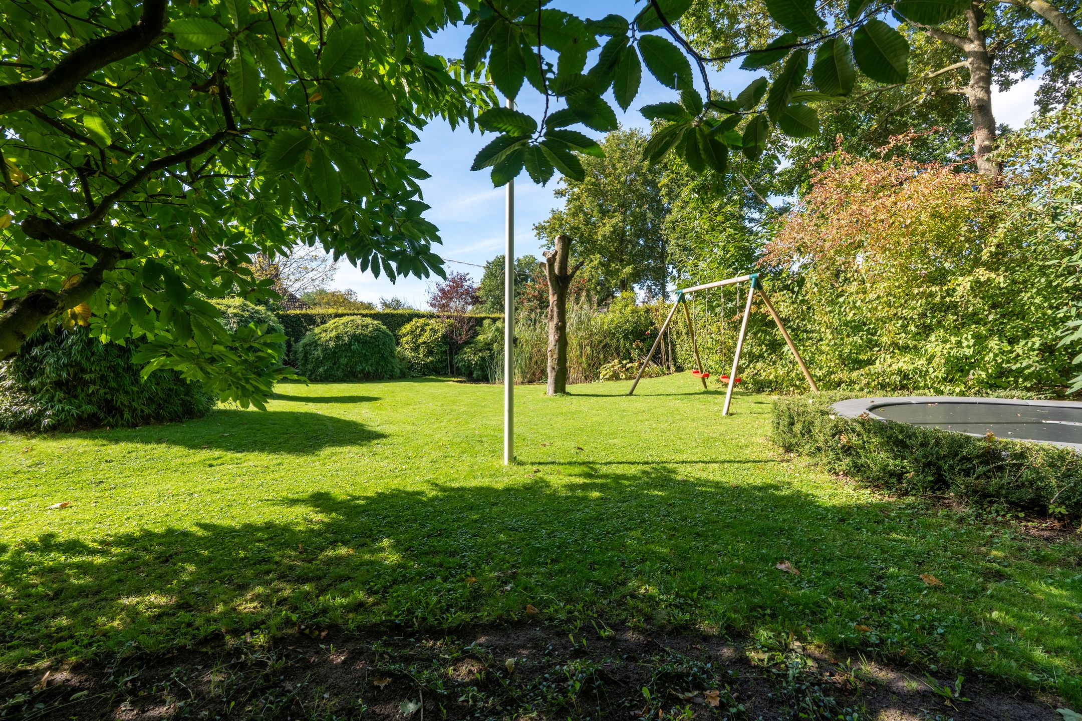 Foto 60 van Spechtlaan 16