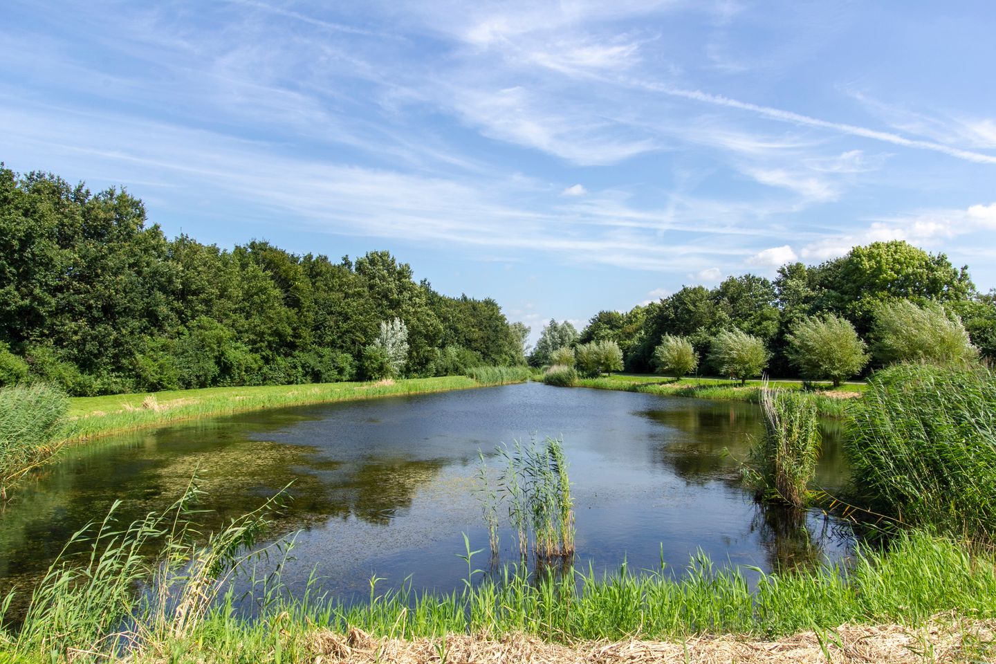 Foto 65 van Spechtlaan 16