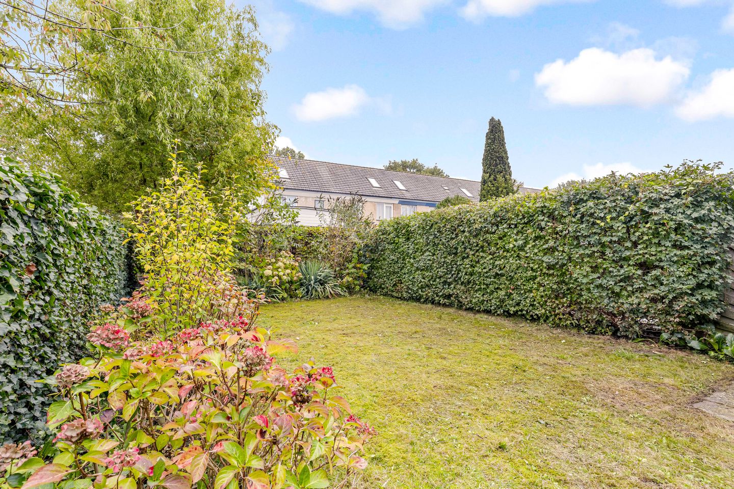 Foto 29 van Cellostraat 46