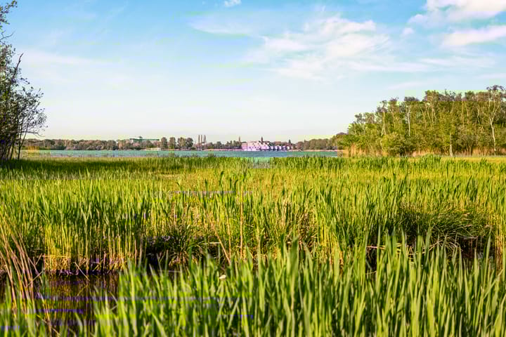 Photo 69 of Noorddammerlaan 78-A