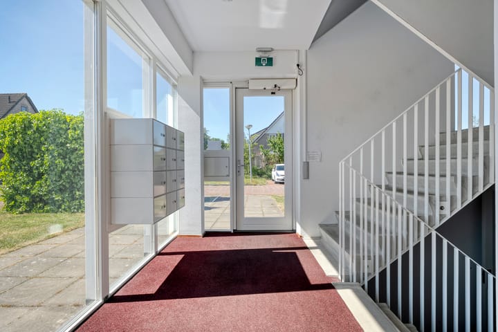 Photo 24 of Weegbree 4