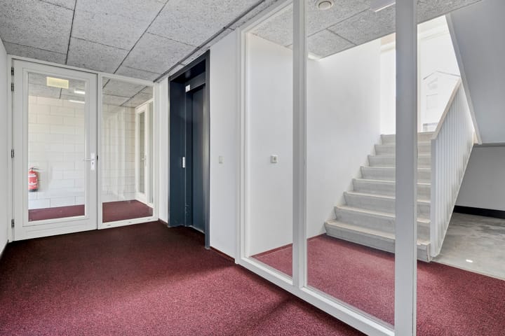 Photo 25 of Weegbree 4