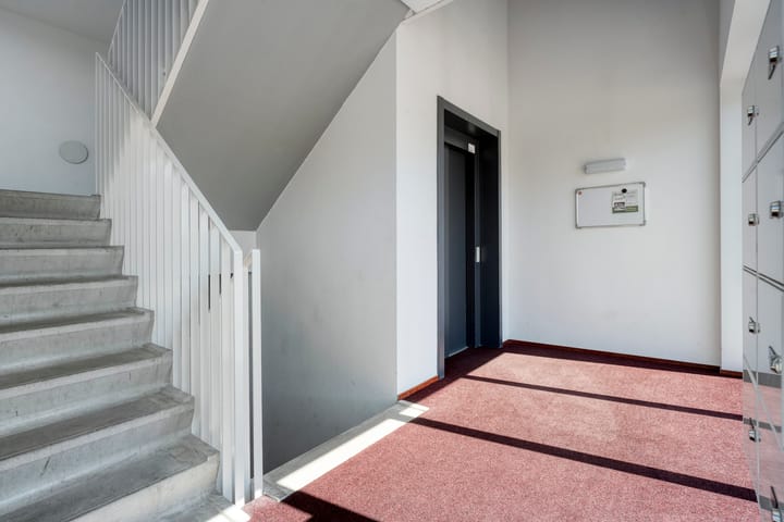 Photo 26 of Weegbree 4