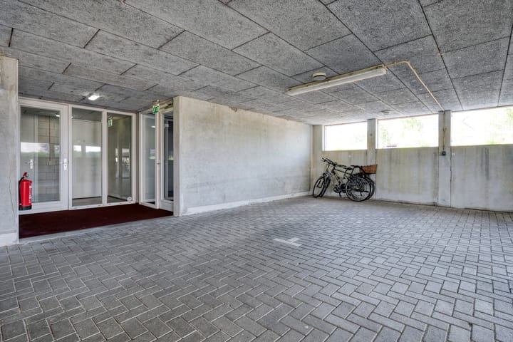 Photo 27 of Weegbree 4