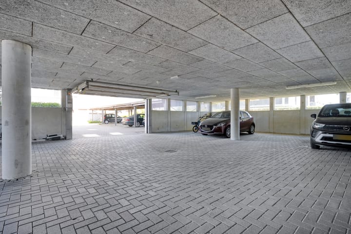 Photo 28 of Weegbree 4