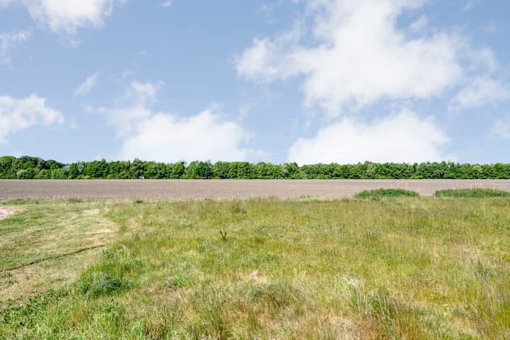 Photo 29 of Weegbree 4