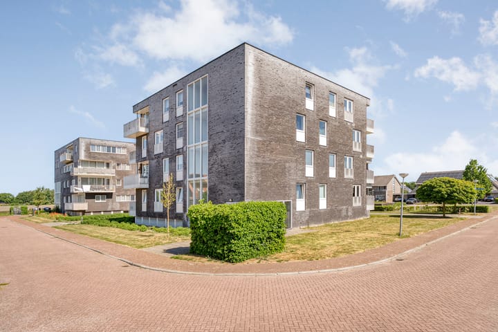 Photo 31 of Weegbree 4