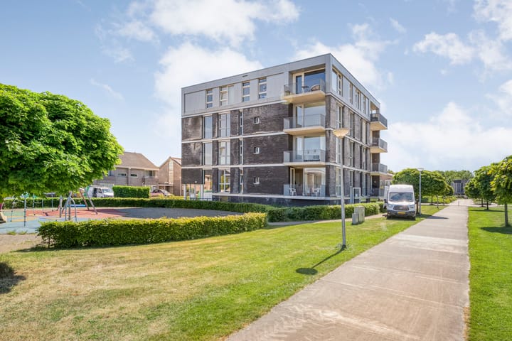 Photo 33 of Weegbree 4