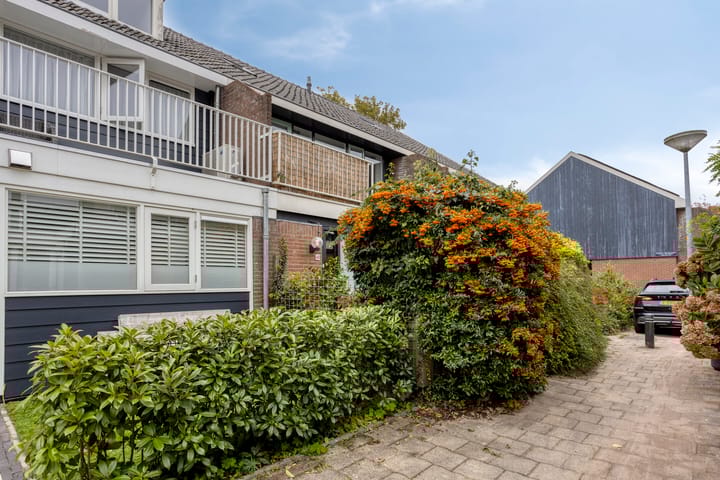 Foto 35 van Marten Michielshof 40