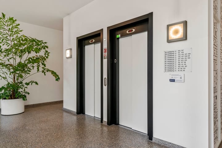 Foto 33 van IJdok 133