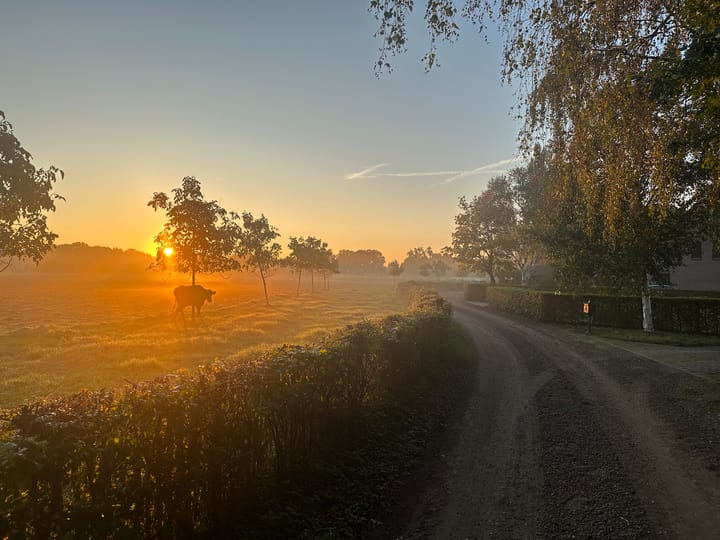 Photo 61 of Woutersweg 2