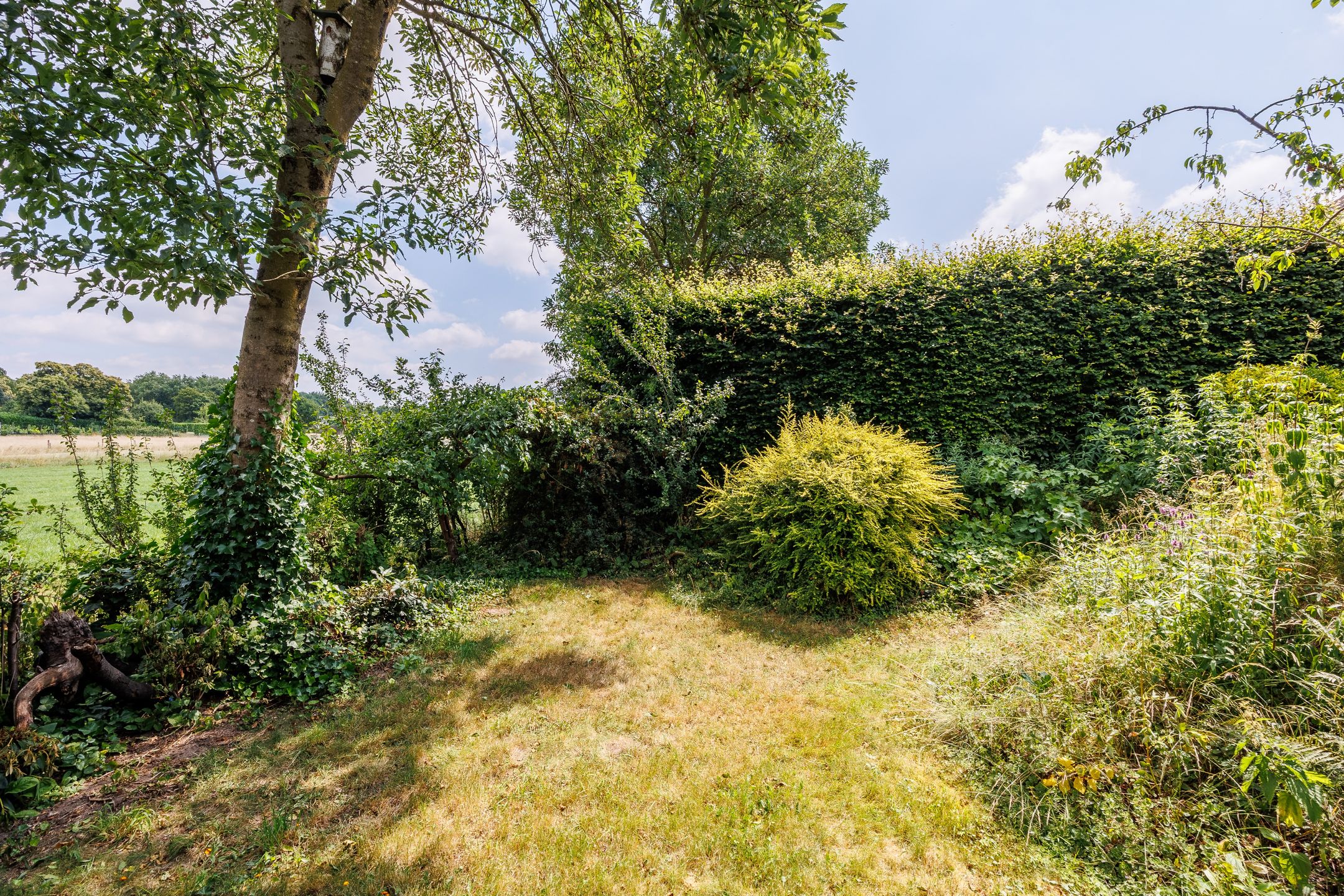 Foto 45 van Burchtstraat 48