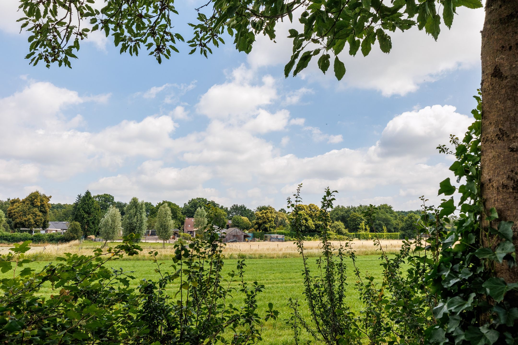 Foto 54 van Burchtstraat 48