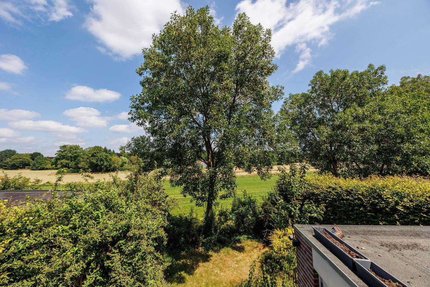 Foto 55 van Burchtstraat 48