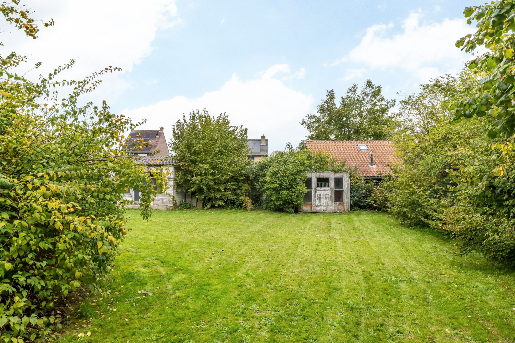 Foto 30 van Nieuwwijkstraat 19