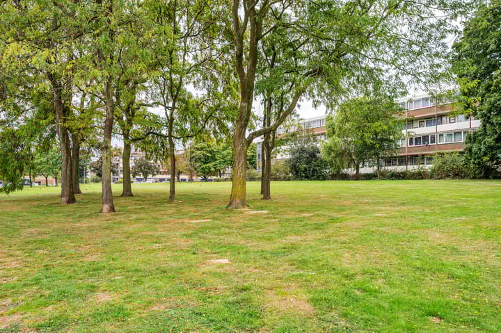 Foto 25 van Vastenavondkampstraat 196