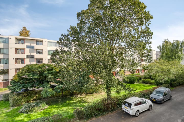 Foto 21 van Van Eysingalaan 191