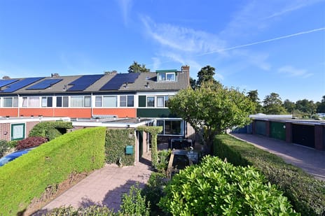 undefined main image