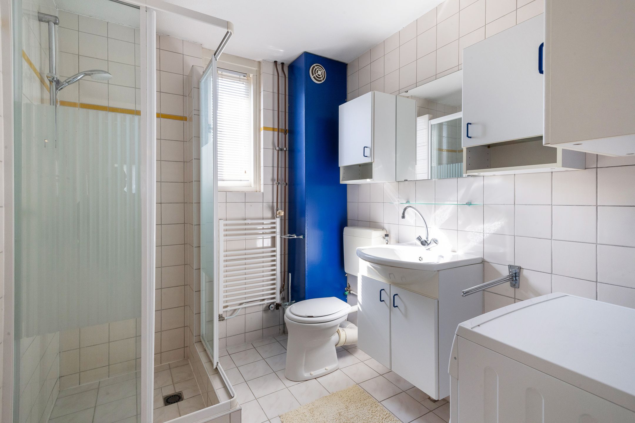 Foto 18 van Koolmees 111