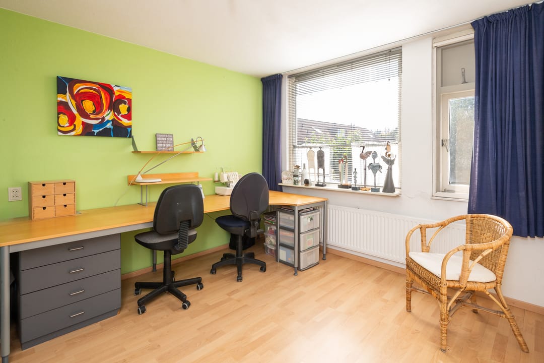 Foto 16 van Koolmees 111