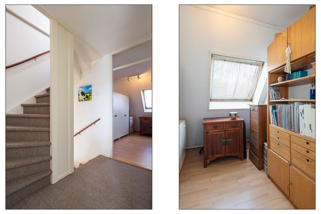 Foto 13 van Koolmees 111