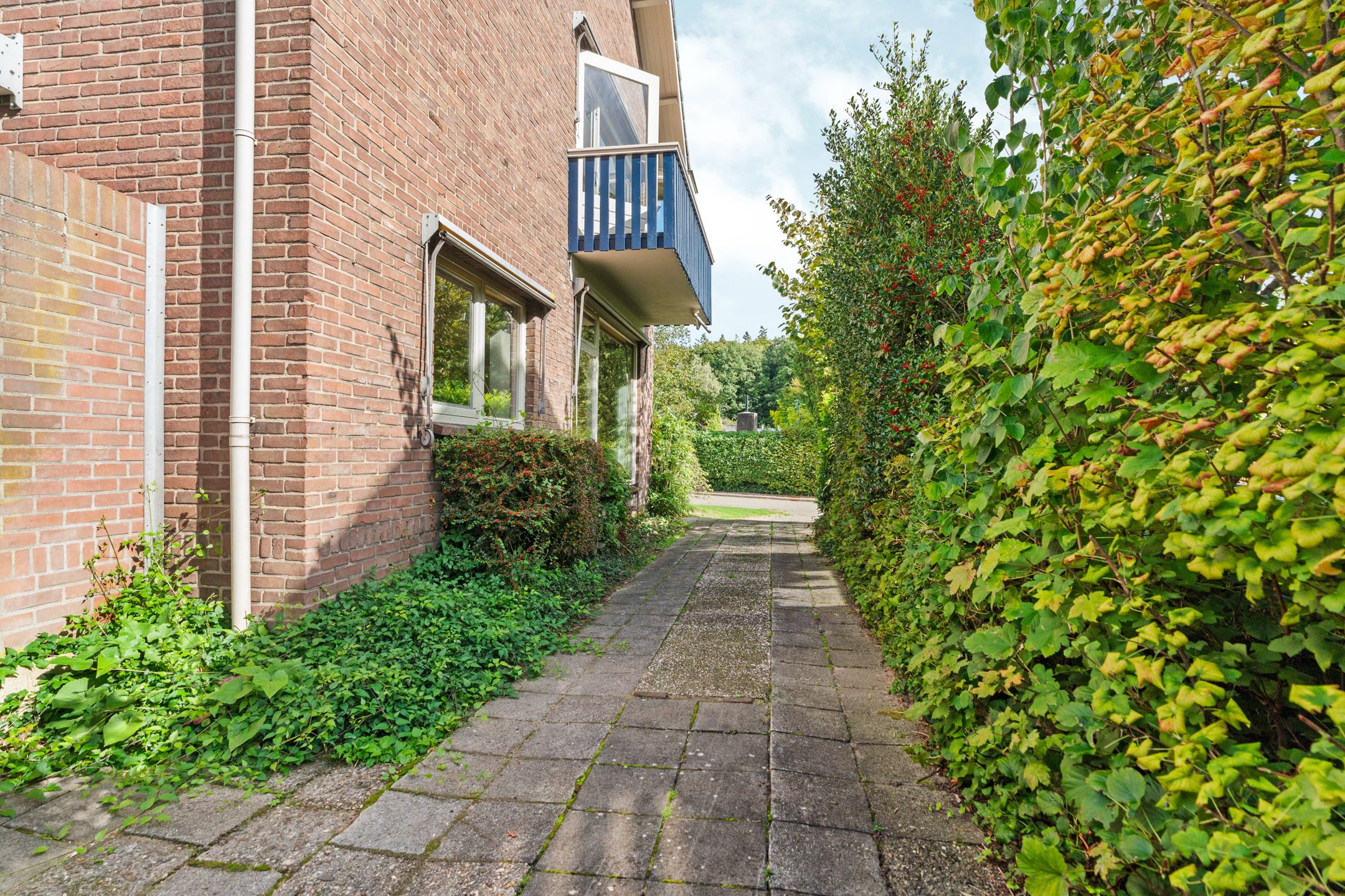 Photo 39 of Joris van der Haagenlaan 11