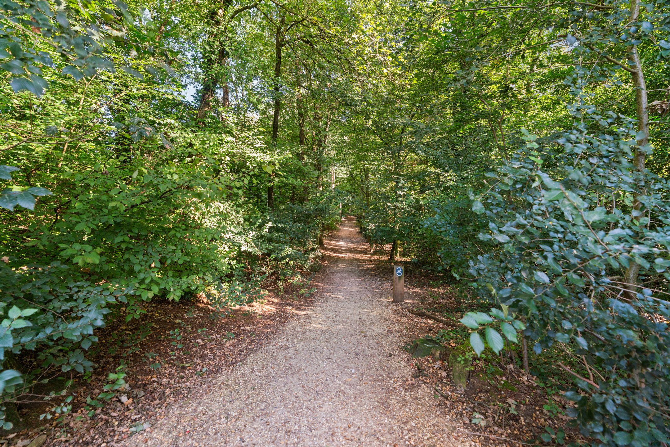 Photo 42 of Joris van der Haagenlaan 11