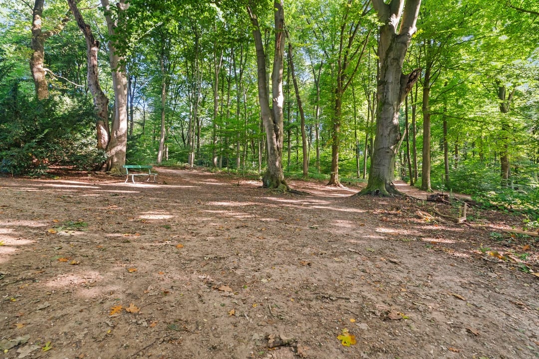 Photo 43 of Joris van der Haagenlaan 11